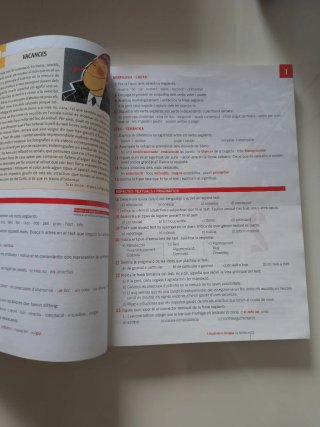 Llengua catalana i literatura, 2 Batxillerat