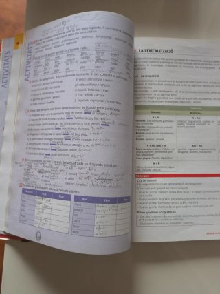 Llengua catalana i literatura, 2 Batxillerat