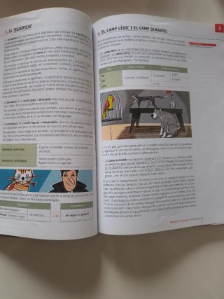 Llengua catalana i literatura, 2 Batxillerat