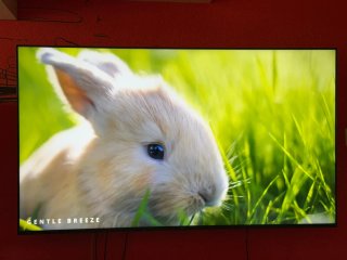TV LG 65pulgadas con garantía