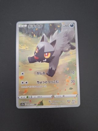 Poochyena AR #208 jap god pack vstar