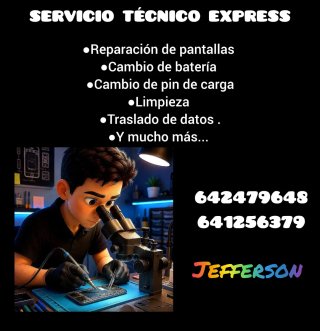 Servicio técnico