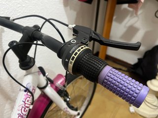 Bicicleta Infantil/juvenil Fashion Girl