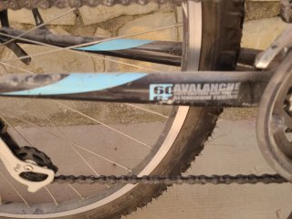 Bicicleta Montaña Avalanche 2.0