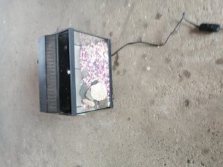 Pecera o terrario con piedras y concha