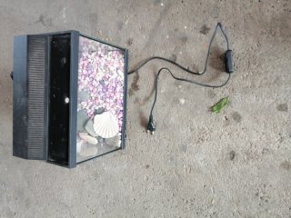 Pecera o terrario con piedras y concha