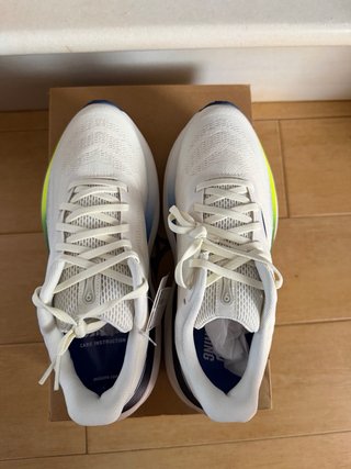 Zapatillas Mizuno Wave Sky 9