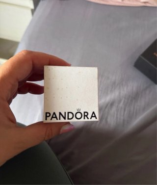 Pandora Charm Tortuga Azul Murano