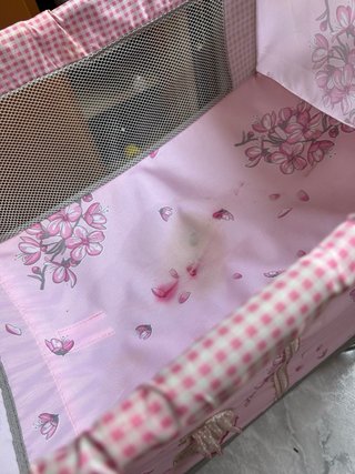 Cuna de juguete rosa con estampado floral