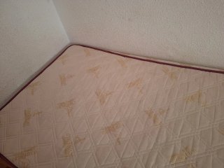 Cama y Colchón 180x100cm