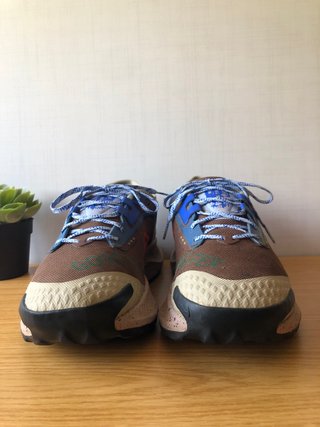 Zapatillas Nike Pegasus Trail 3 Gore-Tex