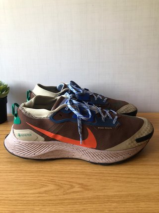 Zapatillas Nike Pegasus Trail 3 Gore-Tex
