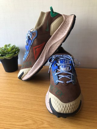Zapatillas Nike Pegasus Trail 3 Gore-Tex