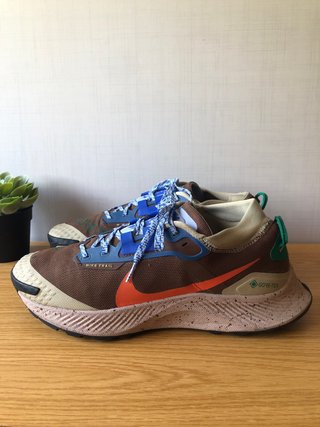 Zapatillas Nike Pegasus Trail 3 Gore-Tex