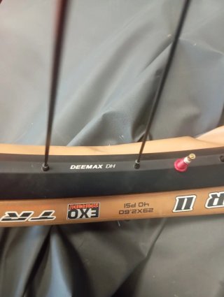 Juego Ruedas Mavic Deemax DT 29