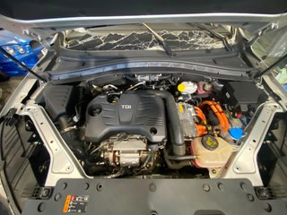MG EHS 2022