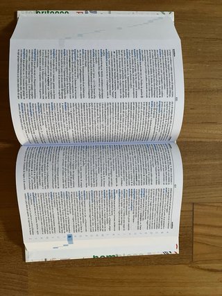 Dizionario italiano di base. Nuova ediz.