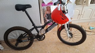 Bicicleta de montaña