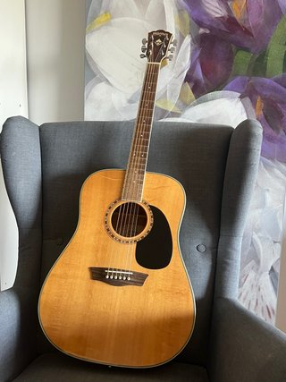 Guitarra Acústica Washburn WD20S Nat