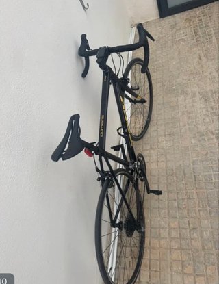 Bicicleta Trek Domane 2 AL Talla L. 58