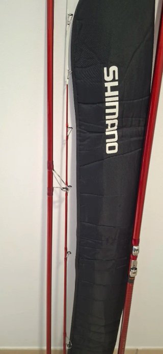 Shimao kisu daiwa bulls