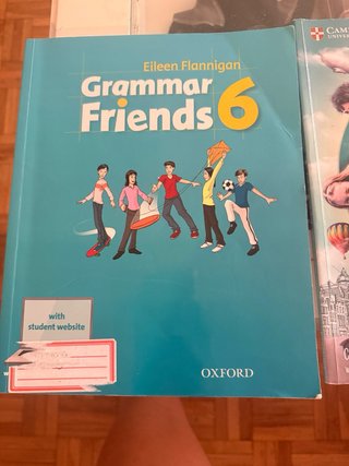 Grammar Friends 6