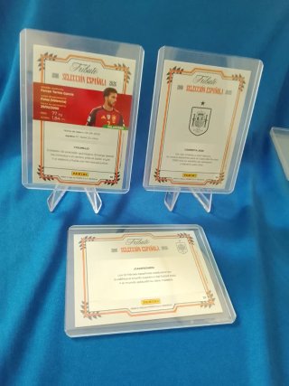 ESPAÑA TRIBUTO PANINI CAMISETA FERRÁN EQUIPO CAMPE