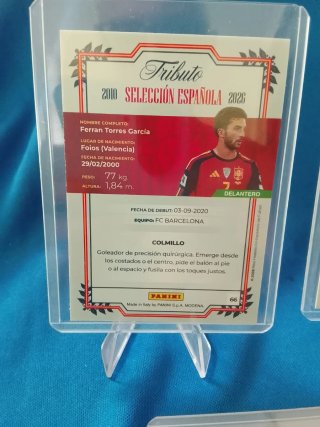 ESPAÑA TRIBUTO PANINI CAMISETA FERRÁN EQUIPO CAMPE