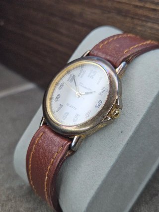 LOTE FOSSIL, POTENS, CASIO, THERMIDOR