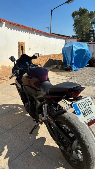 HONDA CBR650R A2 2024