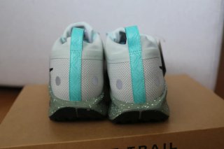 Zapatillas Nike Pegasus Trail GTX Nuevas