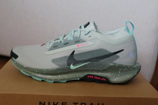 Zapatillas Nike Pegasus Trail GTX Nuevas