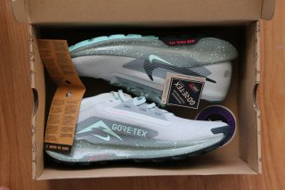 Zapatillas Nike Pegasus Trail GTX Nuevas