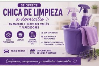 Servicios de limpieza