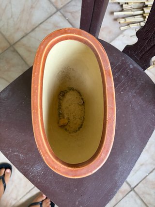 Macetera de cerámica con flores