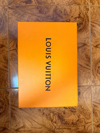 Zapatillas Louis Vuitton Azules y Blancas