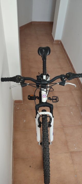 Bicicleta de montaña Racer