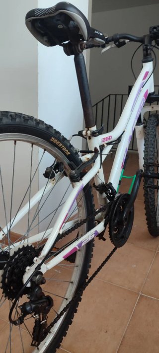 Bicicleta de montaña Racer