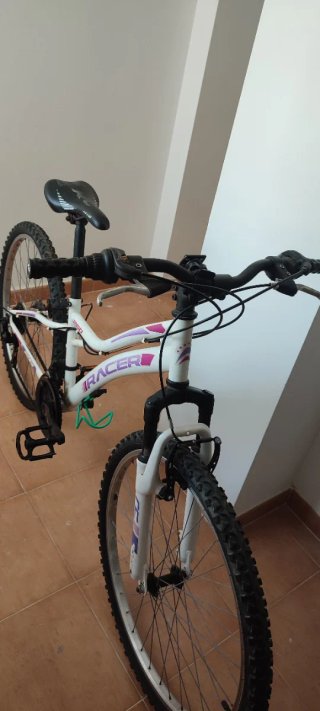 Bicicleta de montaña Racer