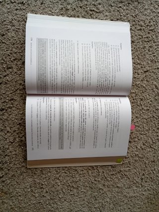 Manual de Lengua Española