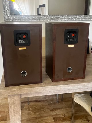 Altavoces Technics SB-RX50 Marrones