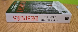 Novela negra Después-Rosamund Lupton