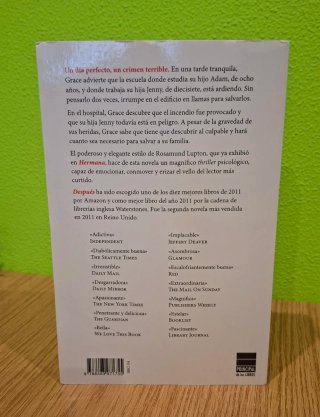 Novela negra Después-Rosamund Lupton