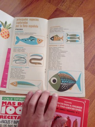 Lote Libros recetas vintage