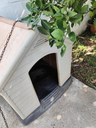 Caseta para perro de plástico color beige