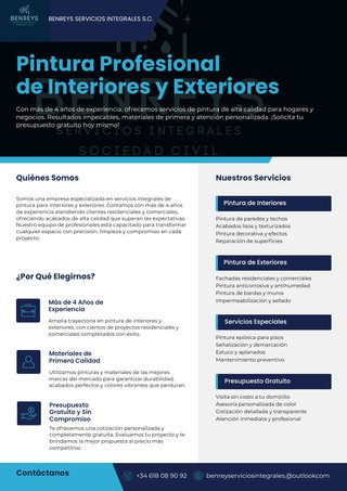 PINTORES PROFESIONALES