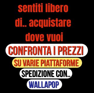Doppio CD Amy Winehouse Frank