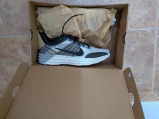 Nike Lunar Roam Beige