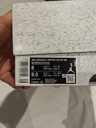 Jordan 4 bike