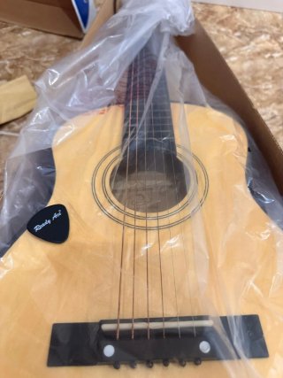 Guitarra Junior 30 con funda